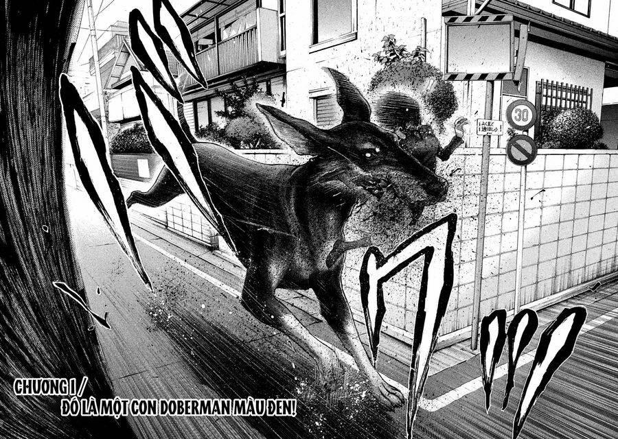 Chiến Binh Cách Mạng: Người Chó Còn Trinh 1 trang 8