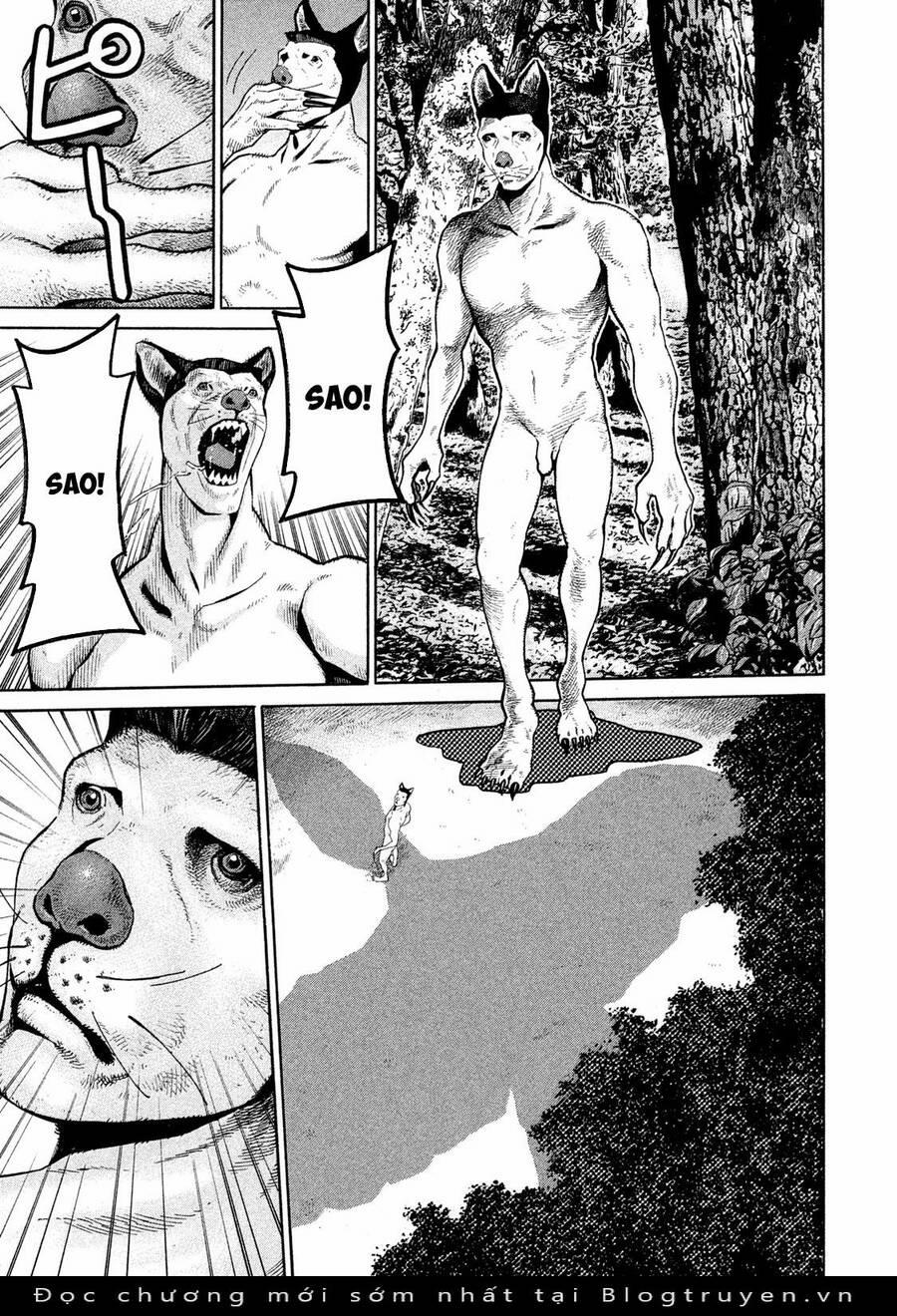 Chiến Binh Cách Mạng: Người Chó Còn Trinh 10 trang 13