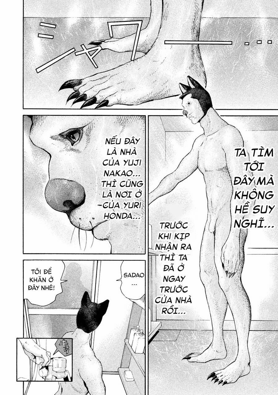 Chiến Binh Cách Mạng: Người Chó Còn Trinh 15 trang 6