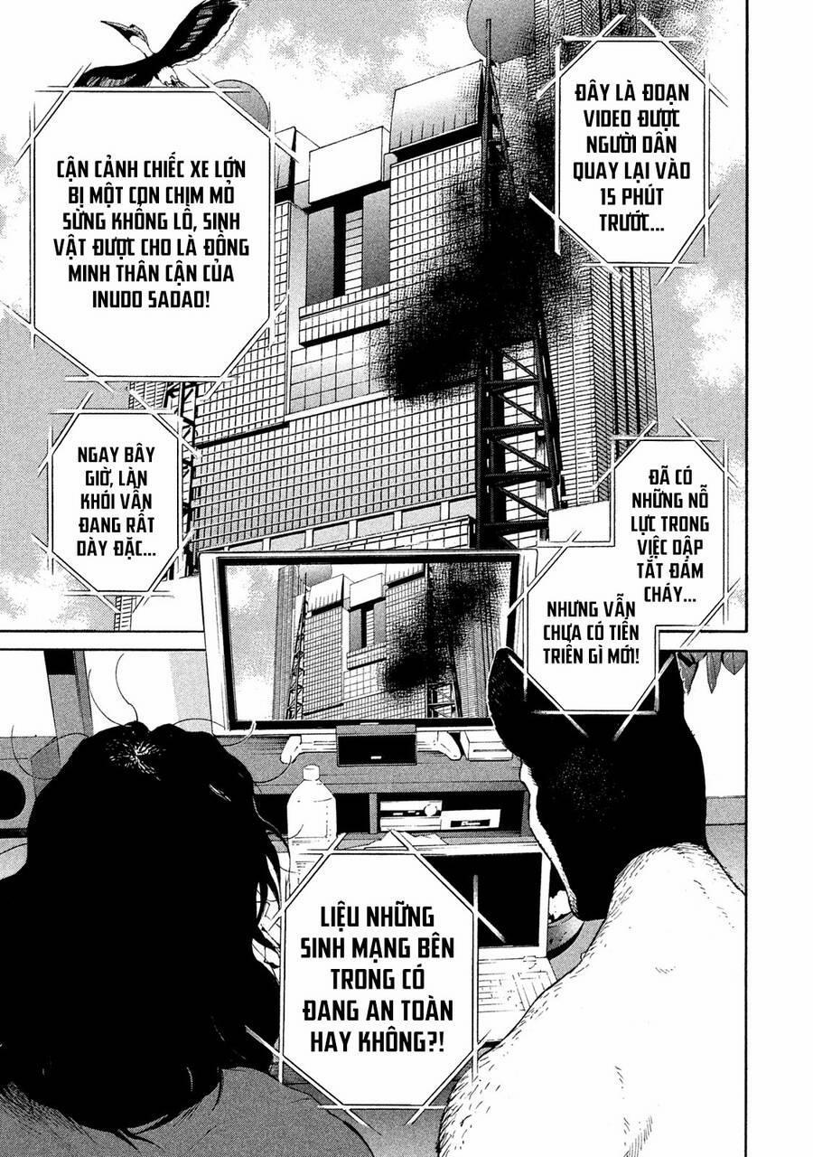 Chiến Binh Cách Mạng: Người Chó Còn Trinh 16 trang 1