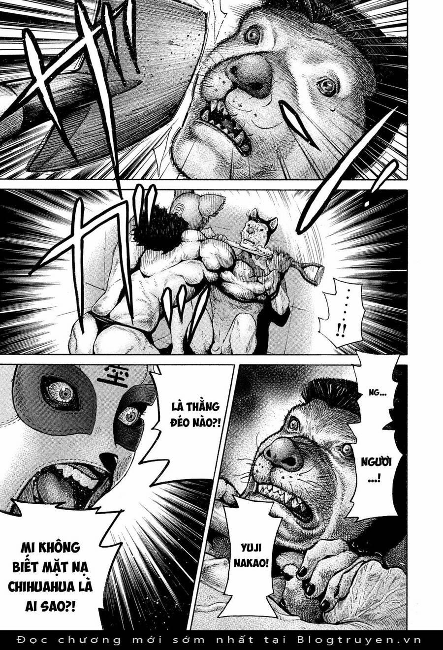 Chiến Binh Cách Mạng: Người Chó Còn Trinh 8 trang 16