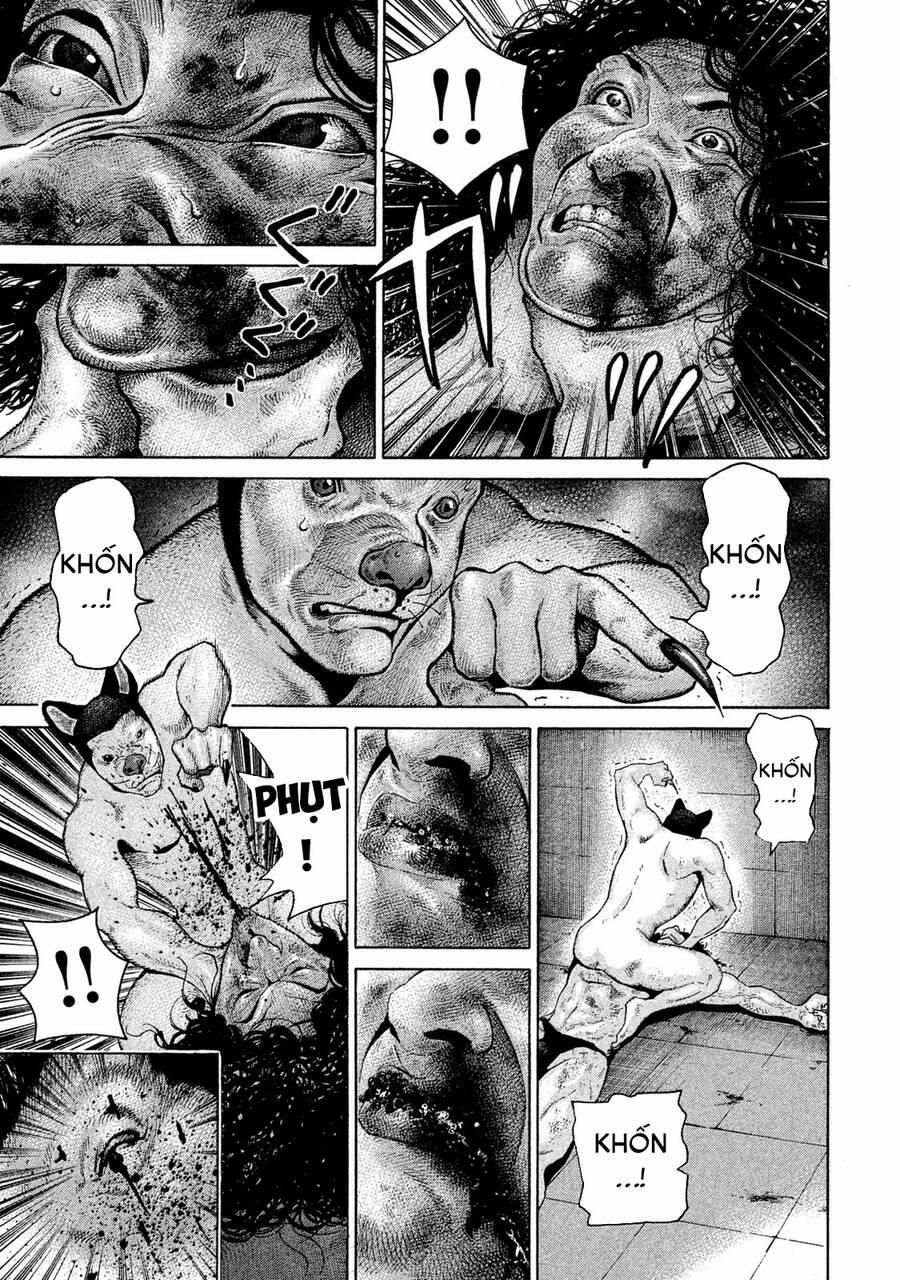 Chiến Binh Cách Mạng: Người Chó Còn Trinh 9 trang 13