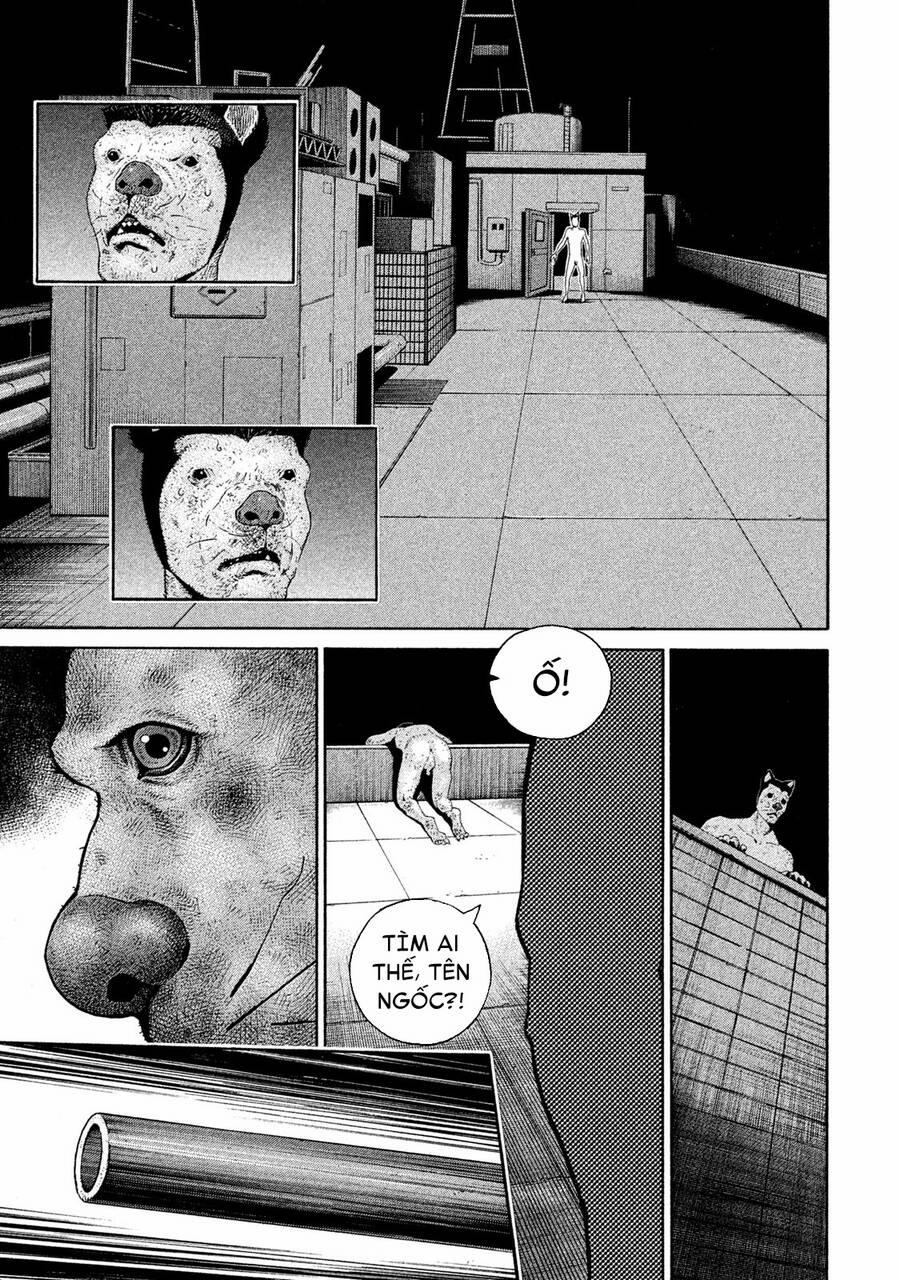 Chiến Binh Cách Mạng: Người Chó Còn Trinh 9 trang 21