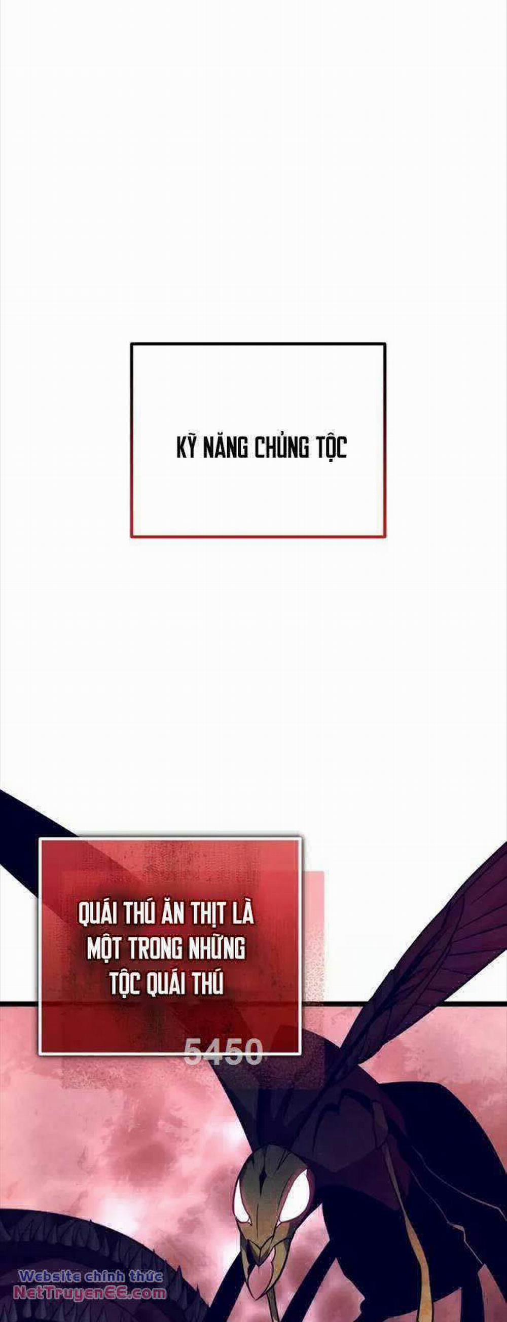 Chiến Binh Hồi Quy 19 trang 1
