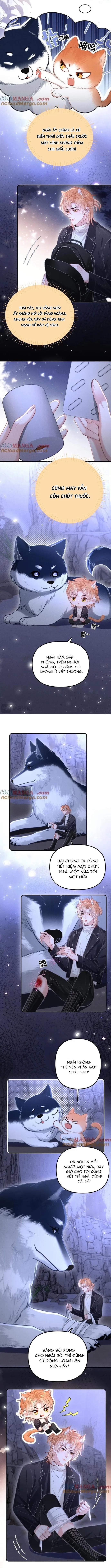 Chiều hư 18 trang 3