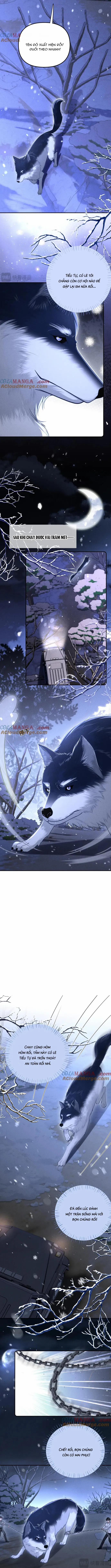 Chiều hư 19 trang 3