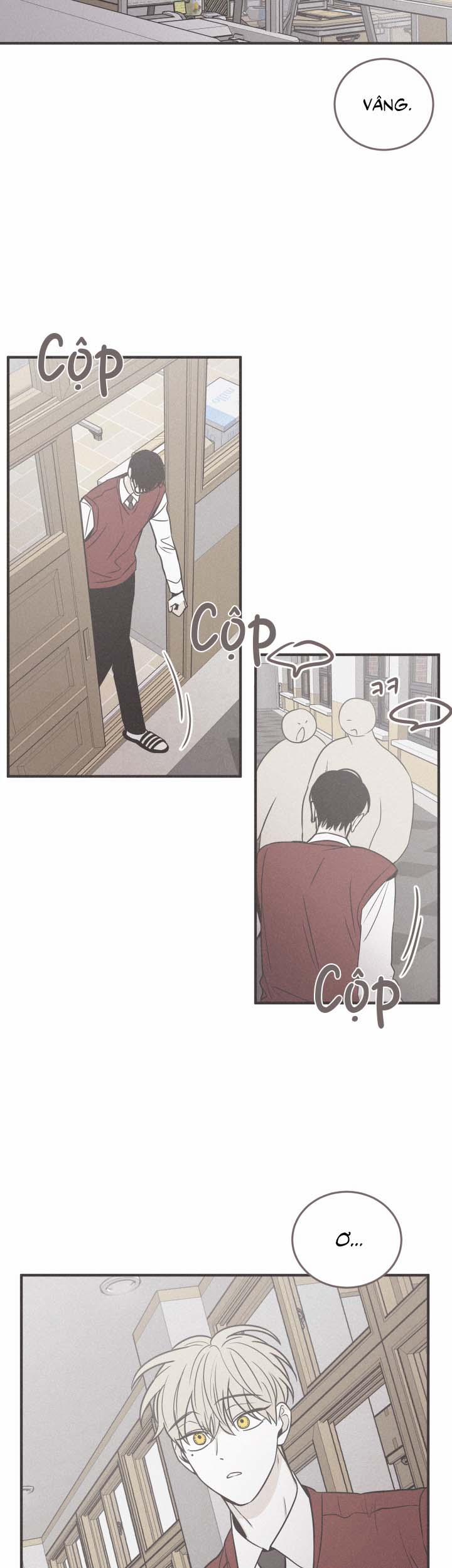 Chiếu Tướng 110 trang 19