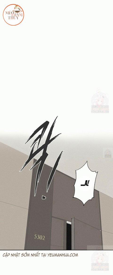 Chiếu Tướng 13 trang 0