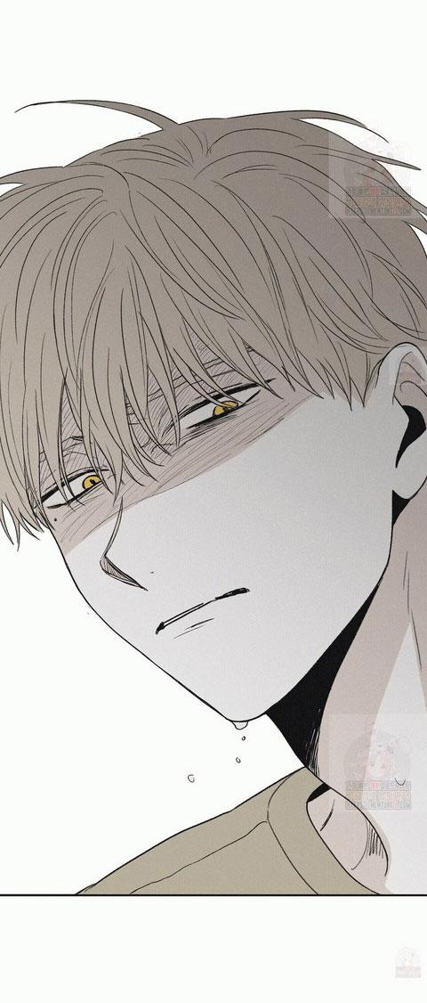 Chiếu Tướng 13 trang 4