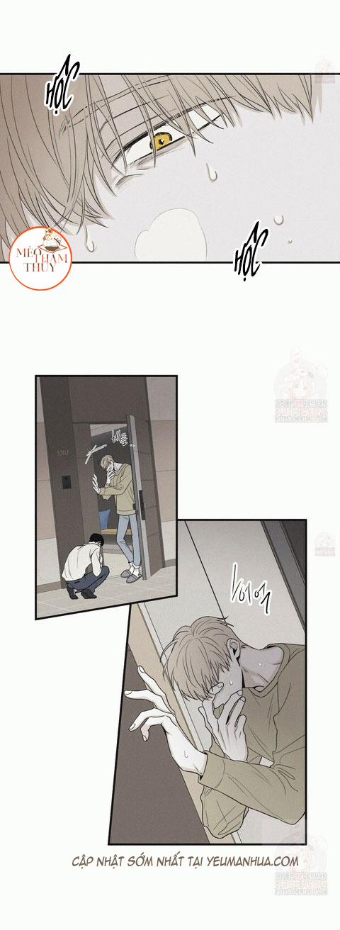 Chiếu Tướng 13 trang 8