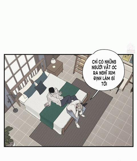 Chiếu Tướng 14 trang 19