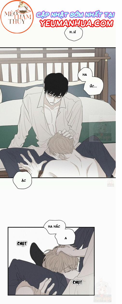 Chiếu Tướng 15 trang 11