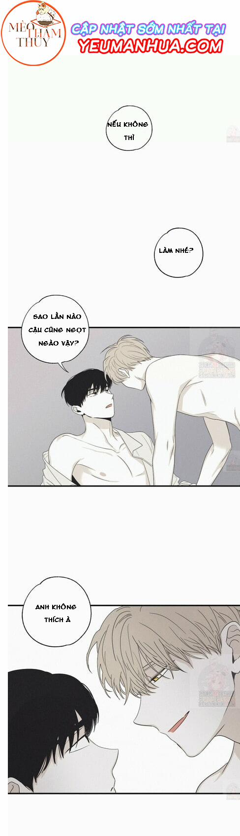 Chiếu Tướng 16 trang 10