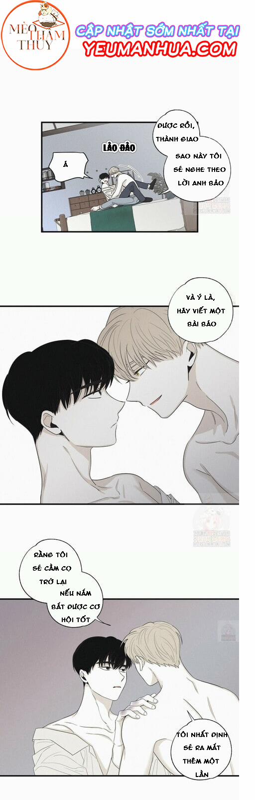 Chiếu Tướng 16 trang 21