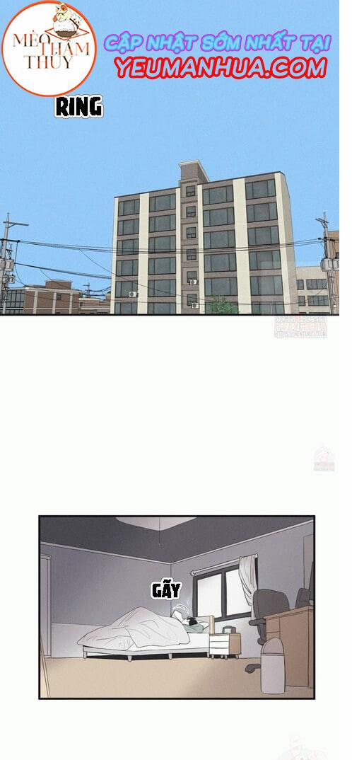 Chiếu Tướng 17 trang 0