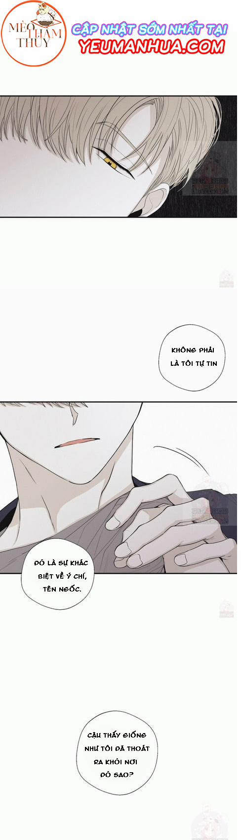 Chiếu Tướng 18 trang 7