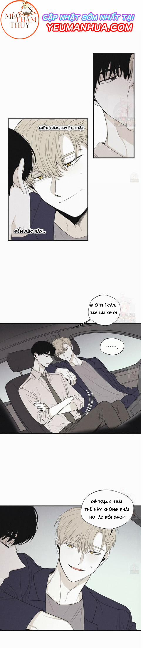 Chiếu Tướng 19 trang 12