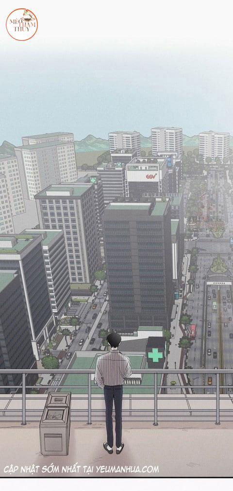 Chiếu Tướng 20 trang 0