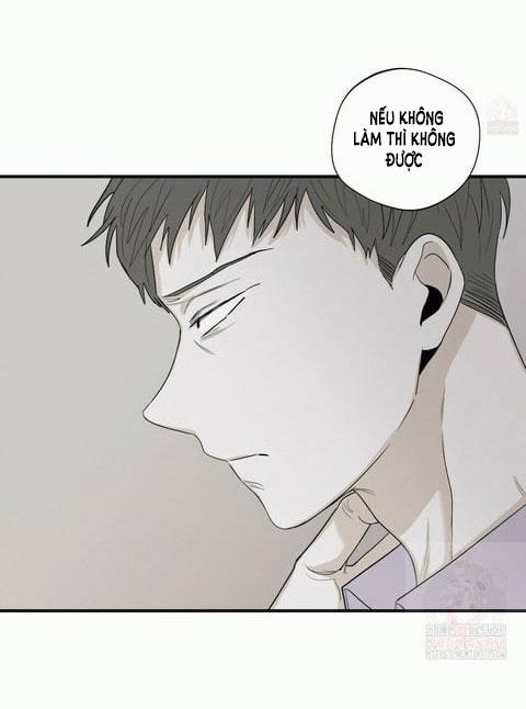 Chiếu Tướng 20 trang 31