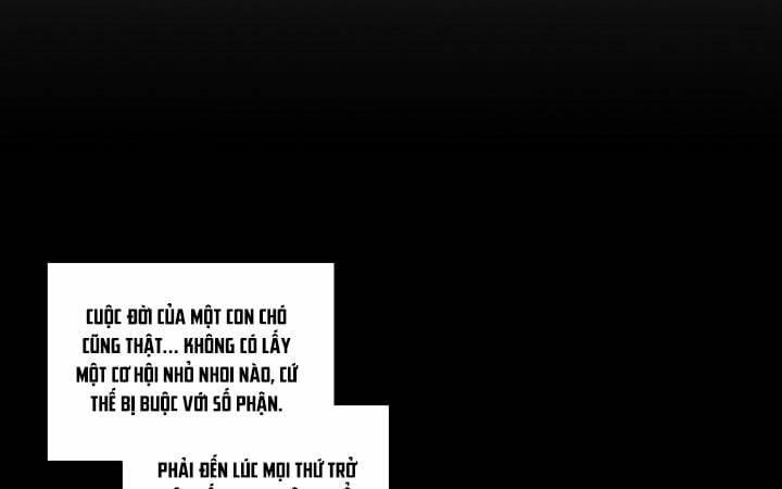 Chiếu Tướng 29 trang 84