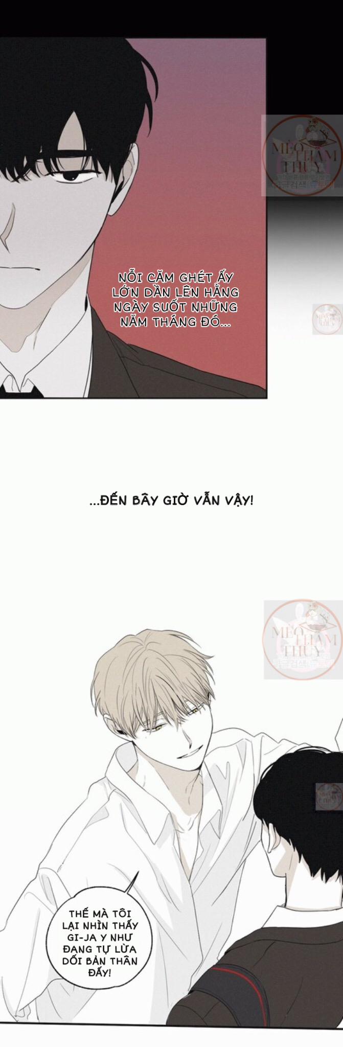 Chiếu Tướng 5 trang 14