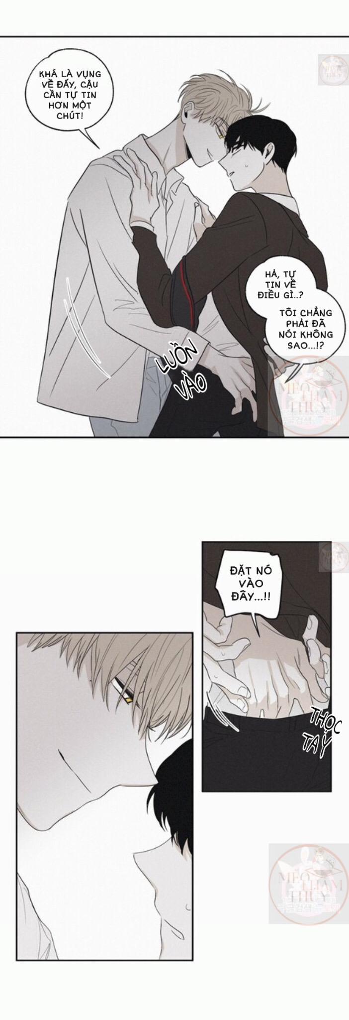 Chiếu Tướng 5 trang 16