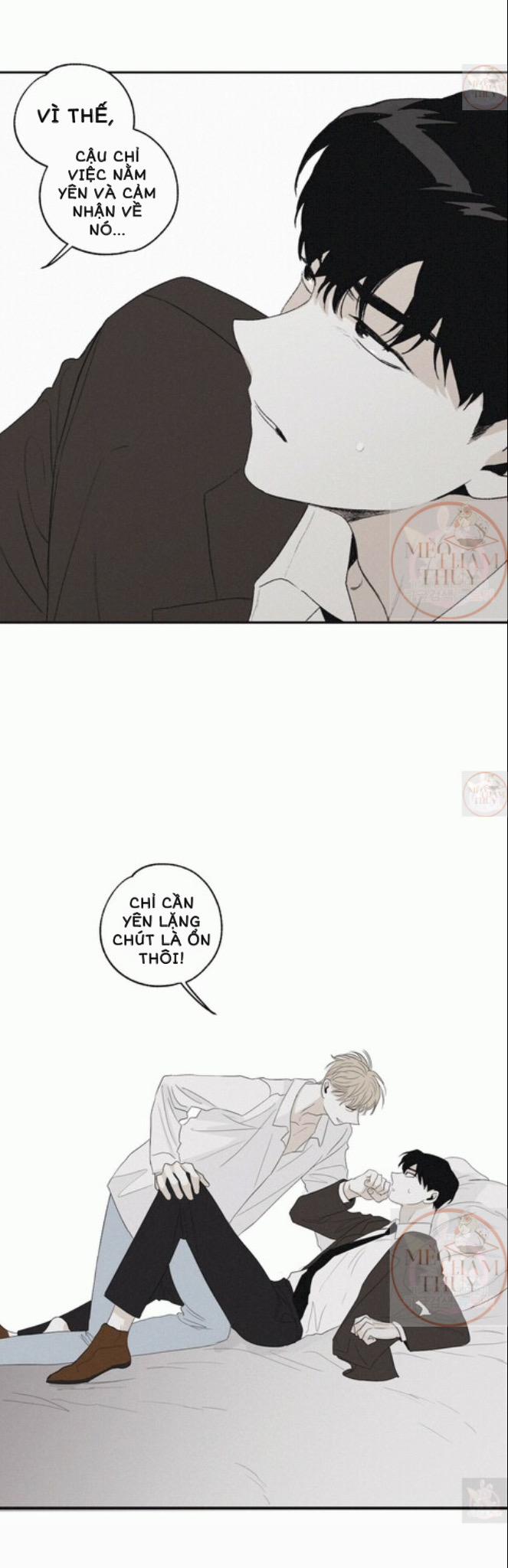 Chiếu Tướng 5 trang 19