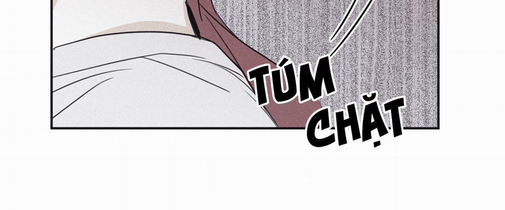 Chiếu Tướng 58 trang 219