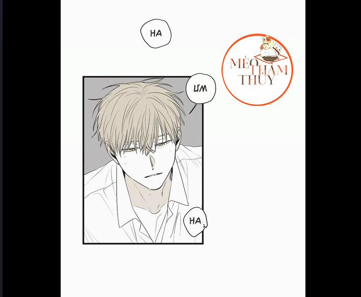 Chiếu Tướng 6 trang 2