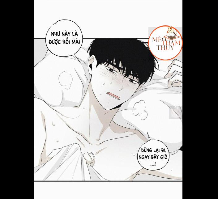 Chiếu Tướng 6 trang 28