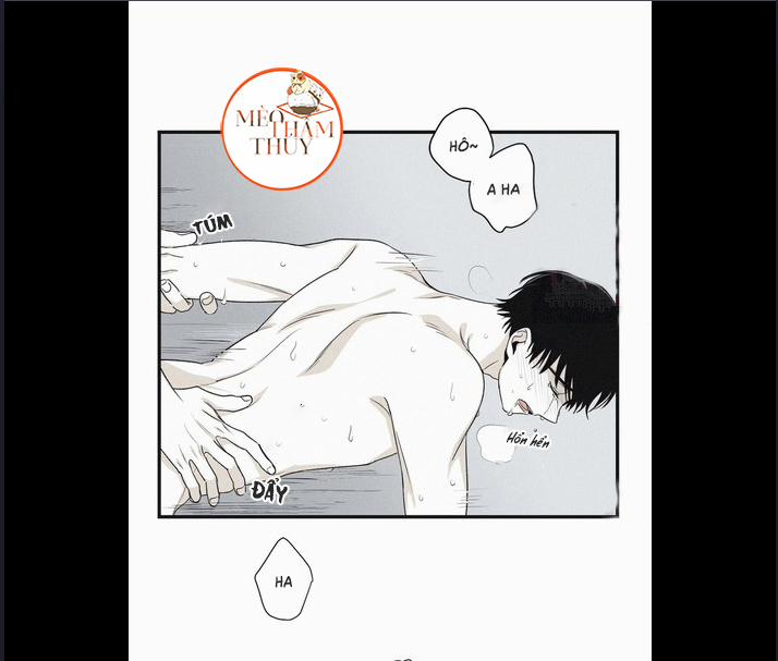 Chiếu Tướng 6 trang 5