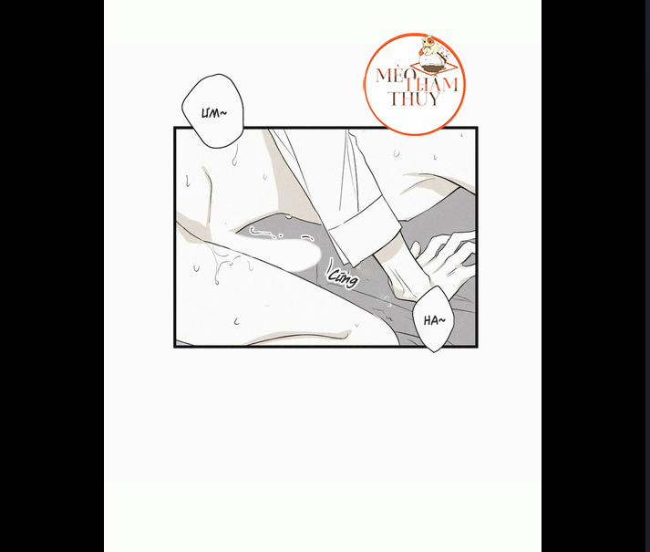 Chiếu Tướng 6 trang 7