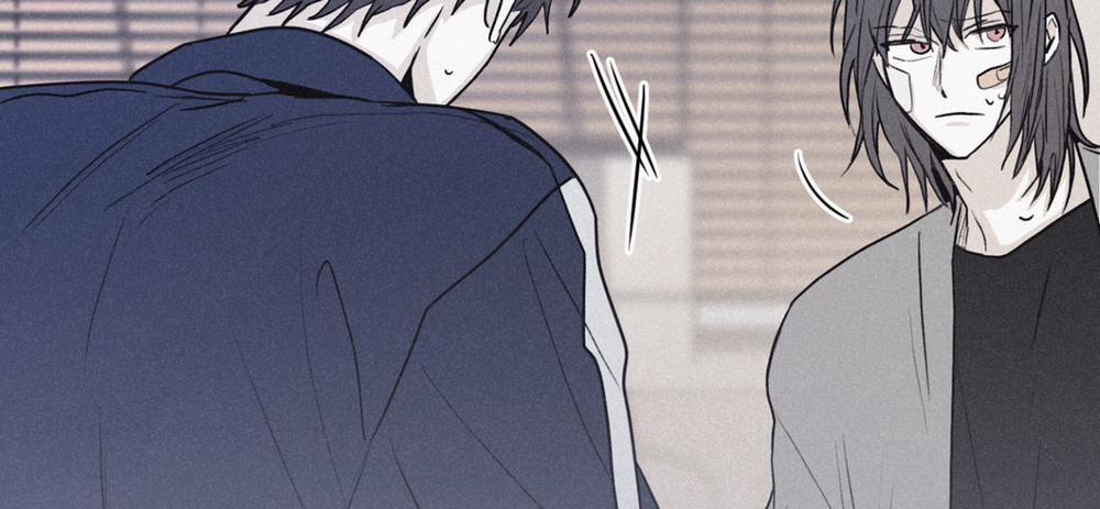 Chiếu Tướng 62 trang 237