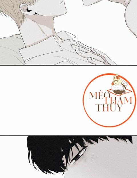 Chiếu Tướng 7 trang 17