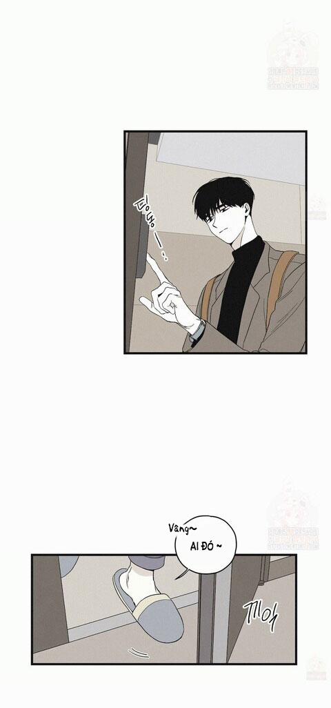 Chiếu Tướng 8 trang 11