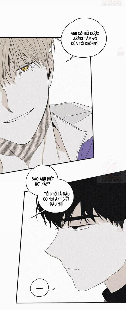 Chiếu Tướng 8 trang 46