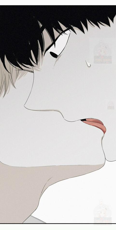 Chiếu Tướng 9 trang 21