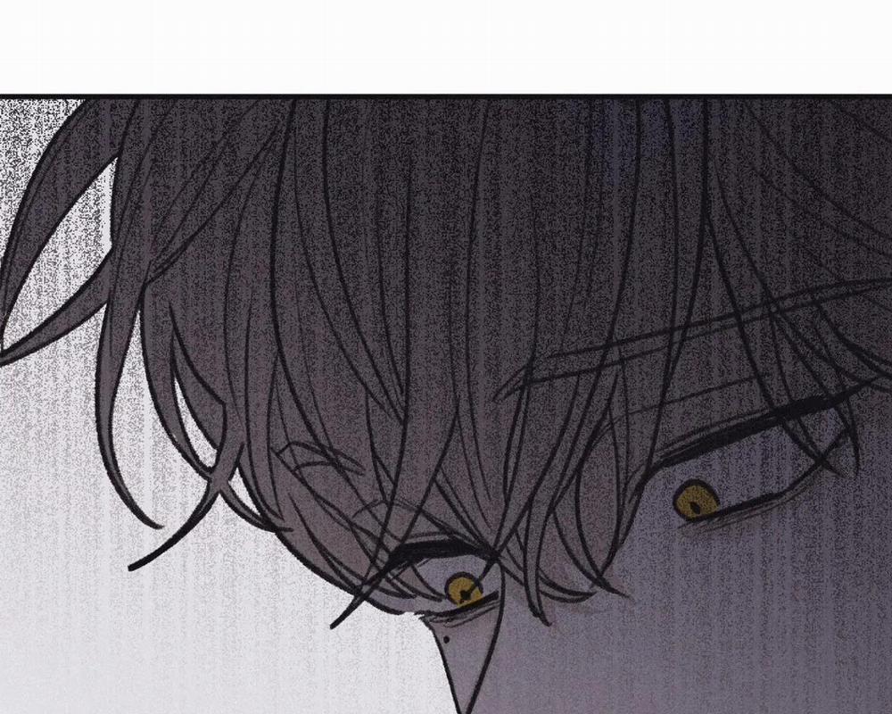 Chiếu Tướng 90 trang 81