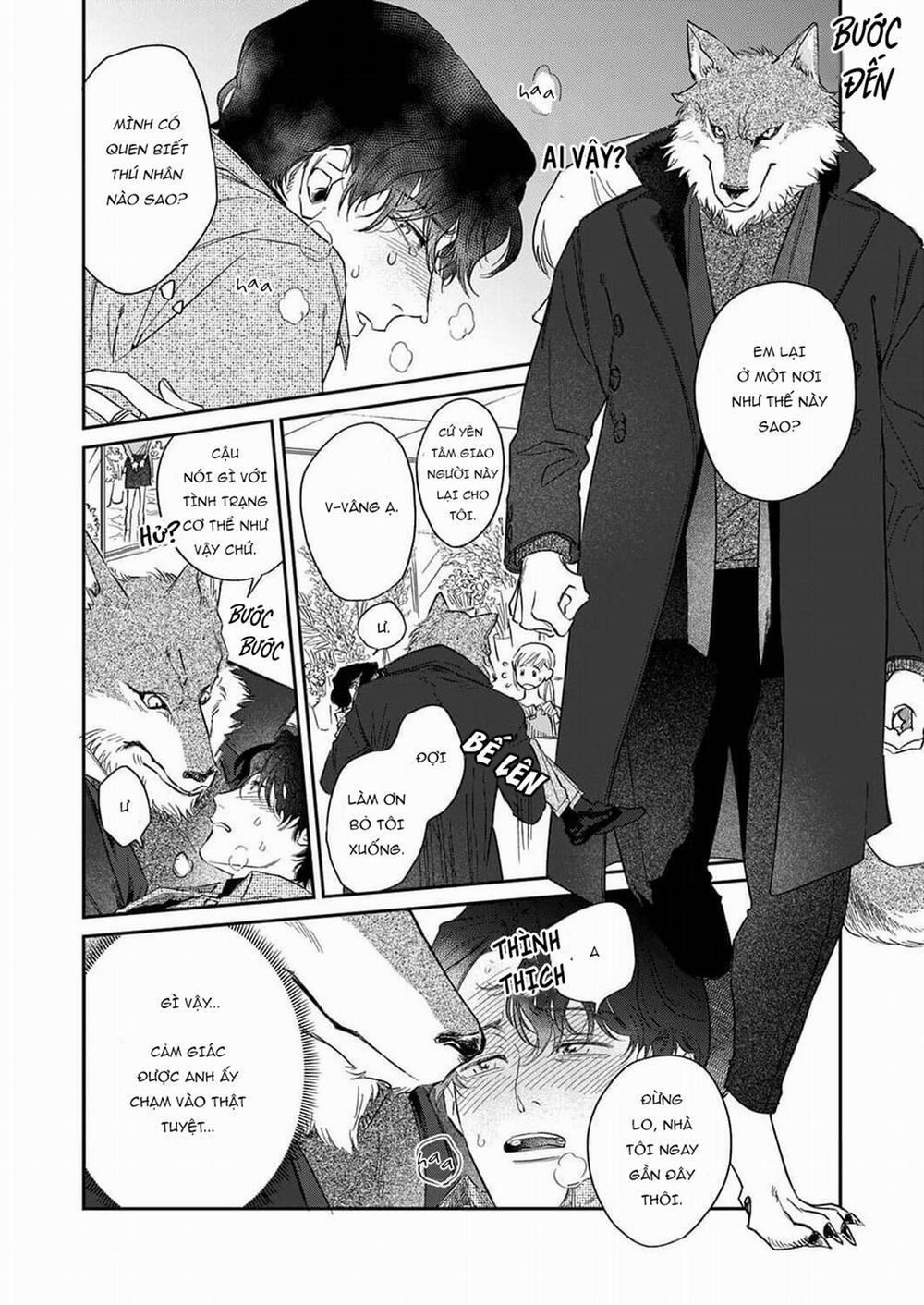 Chìm Đắm Trong Tình Yêu Mãnh Liệt Với Anh Chàng Người Sói 1 trang 11