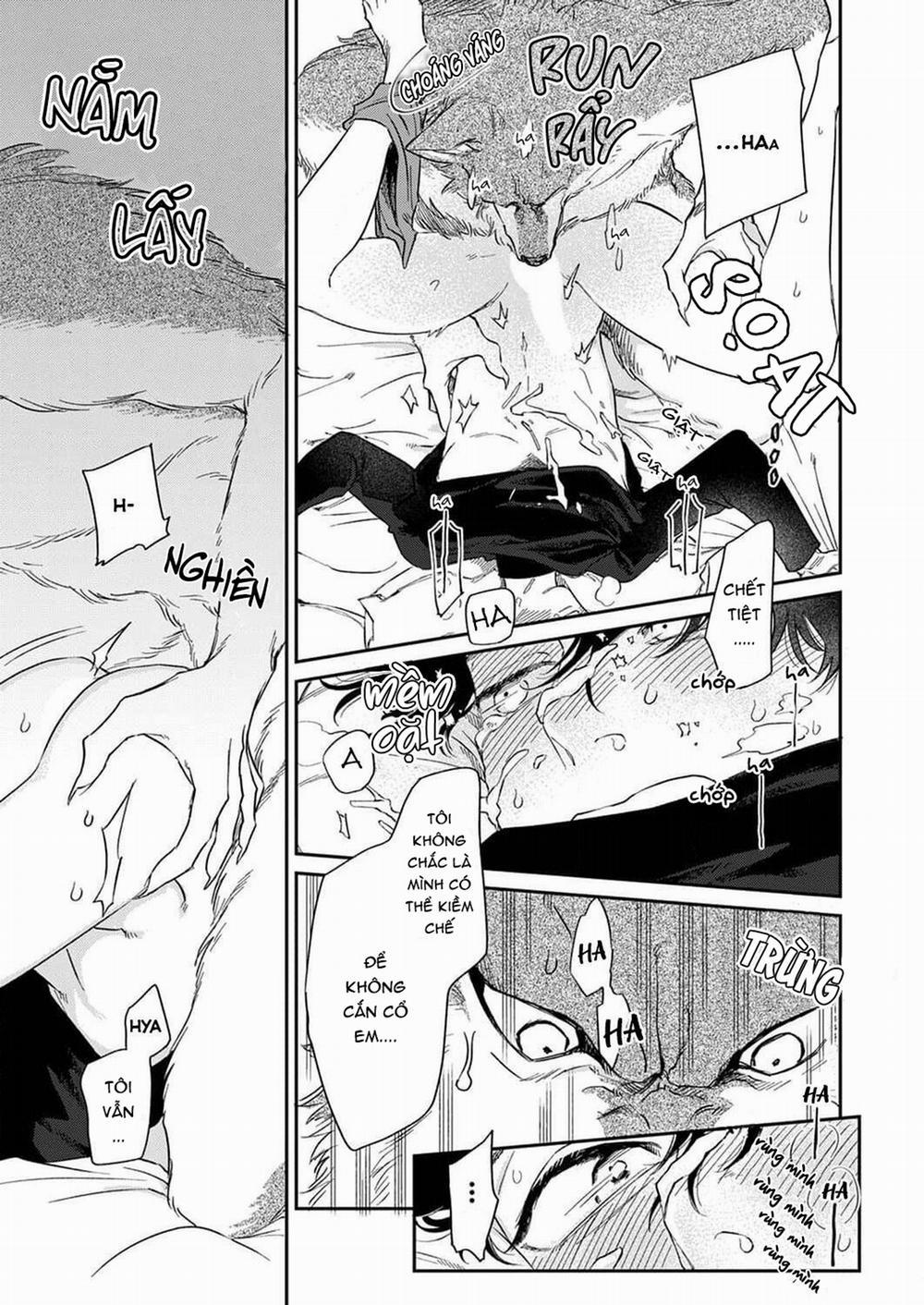 Chìm Đắm Trong Tình Yêu Mãnh Liệt Với Anh Chàng Người Sói 1 trang 16