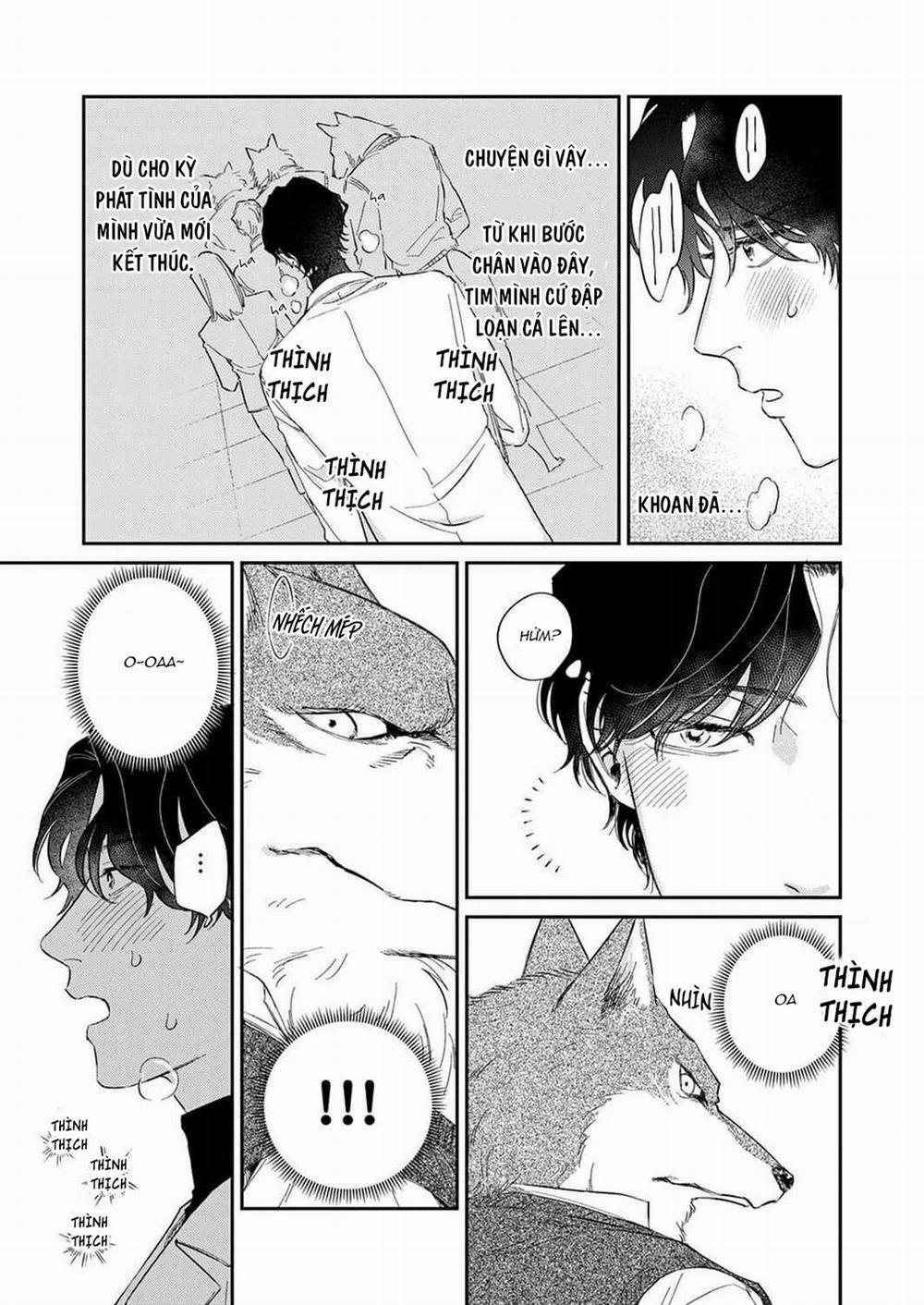 Chìm Đắm Trong Tình Yêu Mãnh Liệt Với Anh Chàng Người Sói 1 trang 22