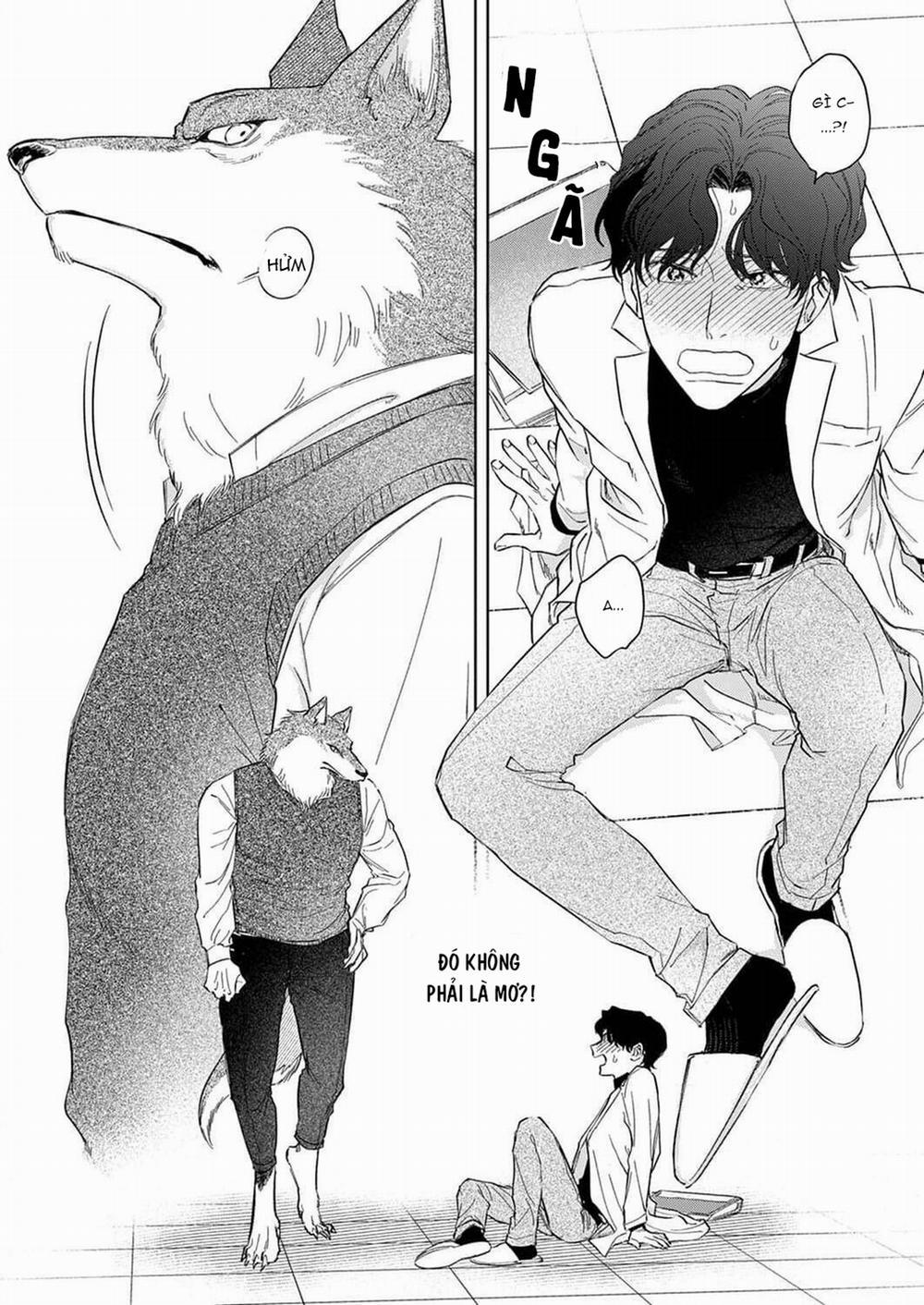 Chìm Đắm Trong Tình Yêu Mãnh Liệt Với Anh Chàng Người Sói 1 trang 25