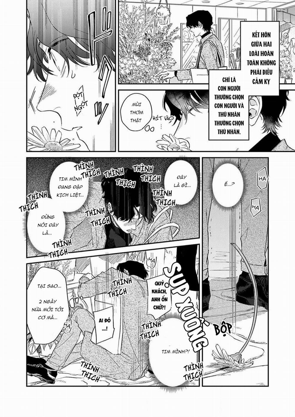 Chìm Đắm Trong Tình Yêu Mãnh Liệt Với Anh Chàng Người Sói 1 trang 9