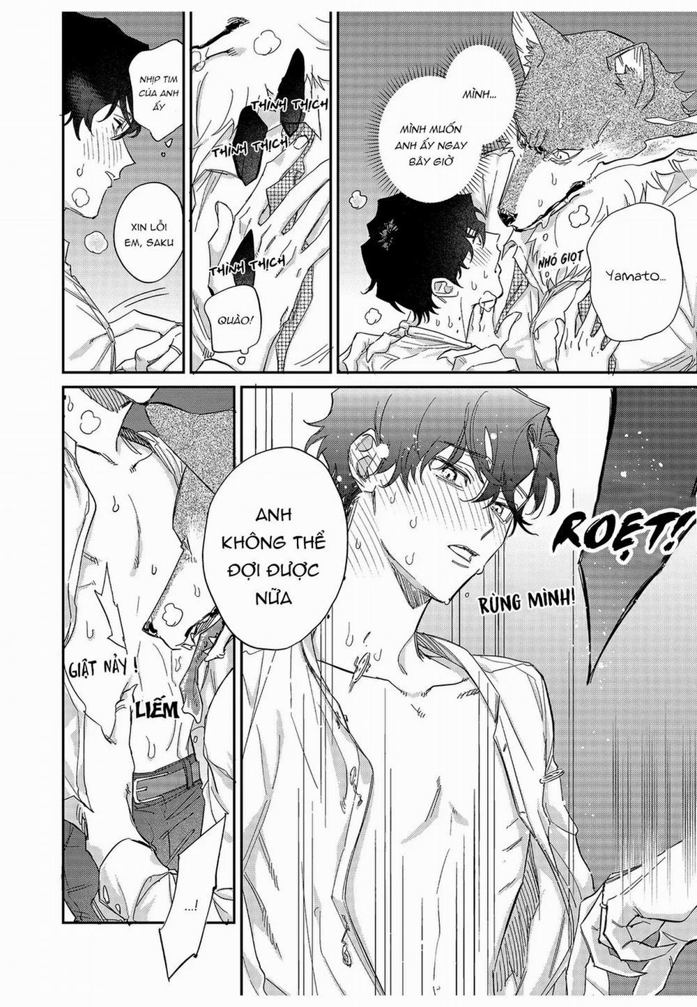 Chìm Đắm Trong Tình Yêu Mãnh Liệt Với Anh Chàng Người Sói 10 trang 13