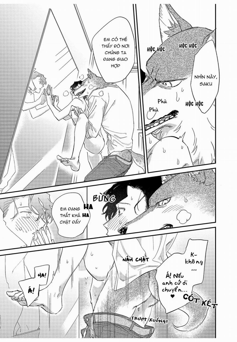 Chìm Đắm Trong Tình Yêu Mãnh Liệt Với Anh Chàng Người Sói 10 trang 16
