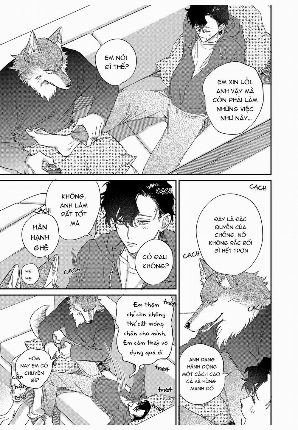 Chìm Đắm Trong Tình Yêu Mãnh Liệt Với Anh Chàng Người Sói 11 trang 18