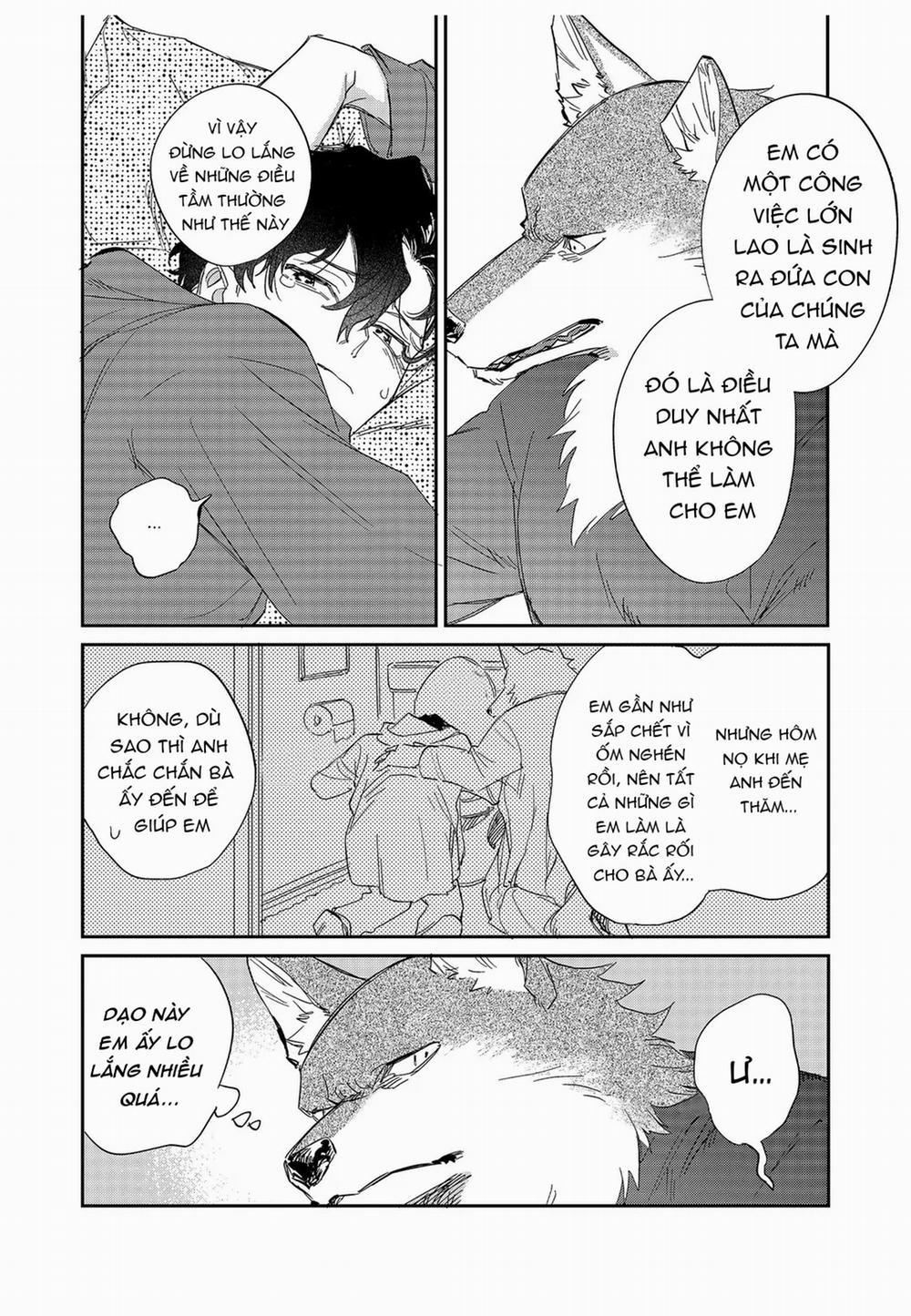 Chìm Đắm Trong Tình Yêu Mãnh Liệt Với Anh Chàng Người Sói 11 trang 19