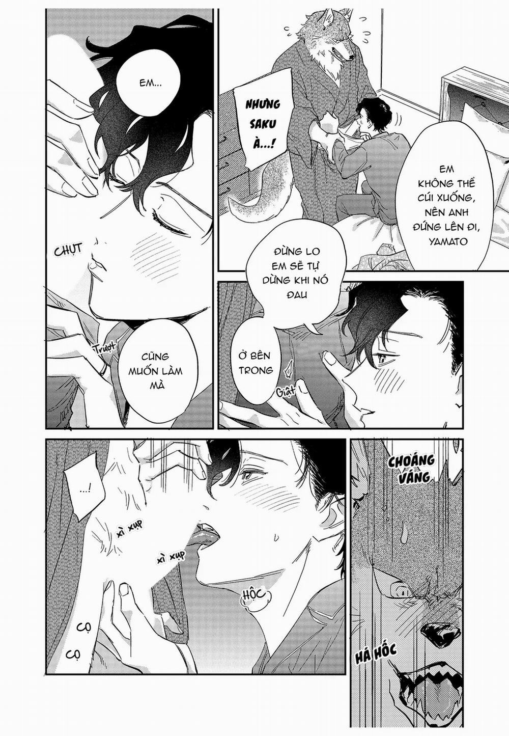 Chìm Đắm Trong Tình Yêu Mãnh Liệt Với Anh Chàng Người Sói 11 trang 9