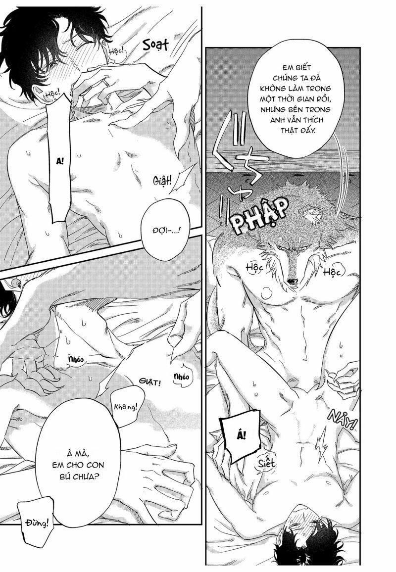 Chìm Đắm Trong Tình Yêu Mãnh Liệt Với Anh Chàng Người Sói 13 trang 6