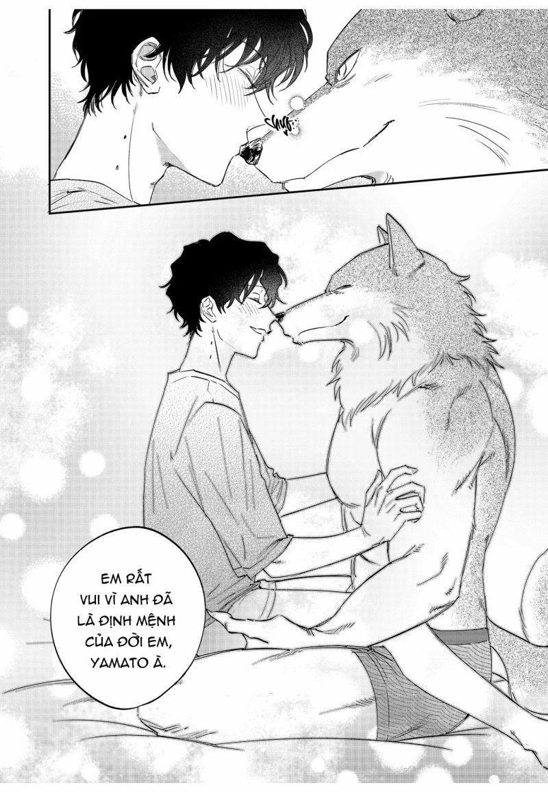Chìm Đắm Trong Tình Yêu Mãnh Liệt Với Anh Chàng Người Sói 14 trang 23